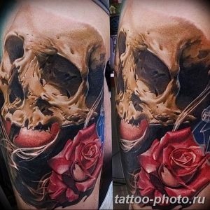 Фото рисунка тату череп 24.11.2018 №514 - photo tattoo skull - tattoo-photo.ru