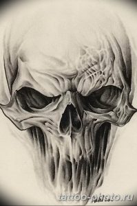 Фото рисунка тату череп 24.11.2018 №542 - photo tattoo skull - tattoo-photo.ru