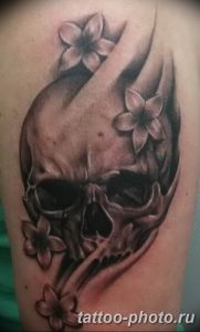 Фото рисунка тату череп 24.11.2018 №548 - photo tattoo skull - tattoo-photo.ru