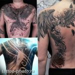 фото идеи тату феникс 18.12.2018 №010 - photo ideas tattoo phoenix - tattoo-photo.ru