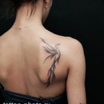 фото идеи тату феникс 18.12.2018 №012 - photo ideas tattoo phoenix - tattoo-photo.ru