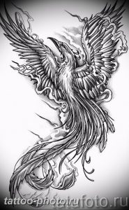 фото идеи тату феникс 18.12.2018 №013 - photo ideas tattoo phoenix - tattoo-photo.ru