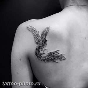 фото идеи тату феникс 18.12.2018 №021 - photo ideas tattoo phoenix - tattoo-photo.ru