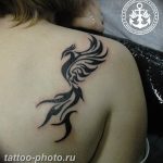 фото идеи тату феникс 18.12.2018 №024 - photo ideas tattoo phoenix - tattoo-photo.ru