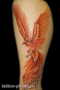 фото идеи тату феникс 18.12.2018 №025 - photo ideas tattoo phoenix - tattoo-photo.ru