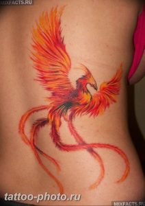 фото идеи тату феникс 18.12.2018 №029 - photo ideas tattoo phoenix - tattoo-photo.ru