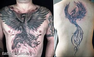 фото идеи тату феникс 18.12.2018 №043 - photo ideas tattoo phoenix - tattoo-photo.ru
