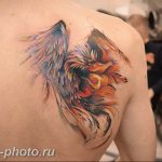 фото идеи тату феникс 18.12.2018 №047 - photo ideas tattoo phoenix - tattoo-photo.ru