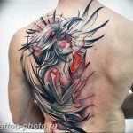 фото идеи тату феникс 18.12.2018 №050 - photo ideas tattoo phoenix - tattoo-photo.ru