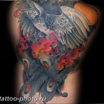 фото идеи тату феникс 18.12.2018 №052 - photo ideas tattoo phoenix - tattoo-photo.ru