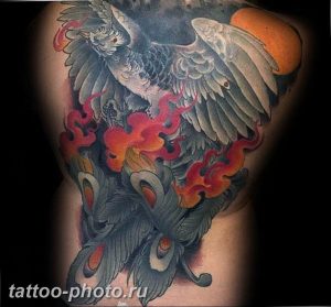 фото идеи тату феникс 18.12.2018 №052 - photo ideas tattoo phoenix - tattoo-photo.ru