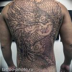 фото идеи тату феникс 18.12.2018 №055 - photo ideas tattoo phoenix - tattoo-photo.ru