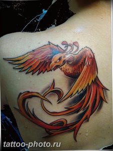 фото идеи тату феникс 18.12.2018 №057 - photo ideas tattoo phoenix - tattoo-photo.ru