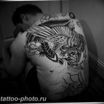 фото идеи тату феникс 18.12.2018 №058 - photo ideas tattoo phoenix - tattoo-photo.ru