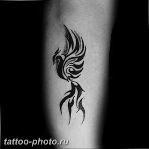 фото идеи тату феникс 18.12.2018 №059 - photo ideas tattoo phoenix - tattoo-photo.ru