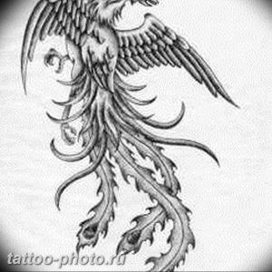 фото идеи тату феникс 18.12.2018 №067 - photo ideas tattoo phoenix - tattoo-photo.ru