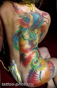 фото идеи тату феникс 18.12.2018 №072 - photo ideas tattoo phoenix - tattoo-photo.ru