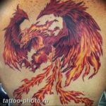 фото идеи тату феникс 18.12.2018 №079 - photo ideas tattoo phoenix - tattoo-photo.ru