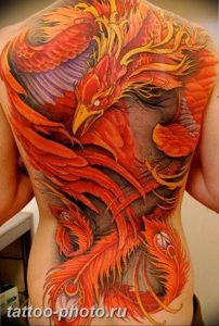 фото идеи тату феникс 18.12.2018 №080 - photo ideas tattoo phoenix - tattoo-photo.ru