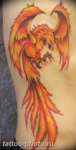 фото идеи тату феникс 18.12.2018 №081 - photo ideas tattoo phoenix - tattoo-photo.ru