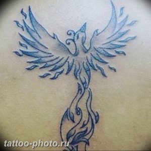 фото идеи тату феникс 18.12.2018 №093 - photo ideas tattoo phoenix - tattoo-photo.ru