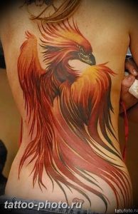 фото идеи тату феникс 18.12.2018 №095 - photo ideas tattoo phoenix - tattoo-photo.ru