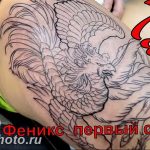 фото идеи тату феникс 18.12.2018 №097 - photo ideas tattoo phoenix - tattoo-photo.ru