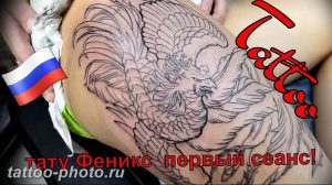фото идеи тату феникс 18.12.2018 №097 - photo ideas tattoo phoenix - tattoo-photo.ru