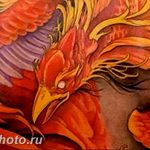 фото идеи тату феникс 18.12.2018 №100 - photo ideas tattoo phoenix - tattoo-photo.ru