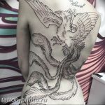 фото идеи тату феникс 18.12.2018 №107 - photo ideas tattoo phoenix - tattoo-photo.ru