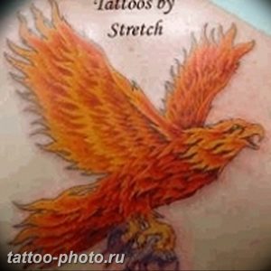 фото идеи тату феникс 18.12.2018 №115 - photo ideas tattoo phoenix - tattoo-photo.ru