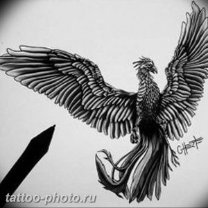 фото идеи тату феникс 18.12.2018 №119 - photo ideas tattoo phoenix - tattoo-photo.ru