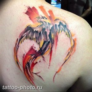фото идеи тату феникс 18.12.2018 №120 - photo ideas tattoo phoenix - tattoo-photo.ru