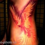 фото идеи тату феникс 18.12.2018 №133 - photo ideas tattoo phoenix - tattoo-photo.ru