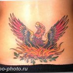 фото идеи тату феникс 18.12.2018 №134 - photo ideas tattoo phoenix - tattoo-photo.ru