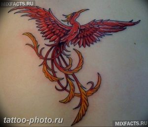 фото идеи тату феникс 18.12.2018 №139 - photo ideas tattoo phoenix - tattoo-photo.ru