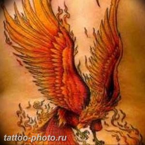 фото идеи тату феникс 18.12.2018 №141 - photo ideas tattoo phoenix - tattoo-photo.ru