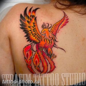 фото идеи тату феникс 18.12.2018 №142 - photo ideas tattoo phoenix - tattoo-photo.ru