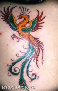 фото идеи тату феникс 18.12.2018 №148 - photo ideas tattoo phoenix - tattoo-photo.ru