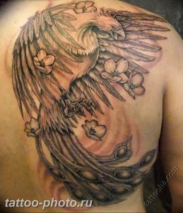 фото идеи тату феникс 18.12.2018 №149 - photo ideas tattoo phoenix - tattoo-photo.ru