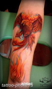 фото идеи тату феникс 18.12.2018 №150 - photo ideas tattoo phoenix - tattoo-photo.ru