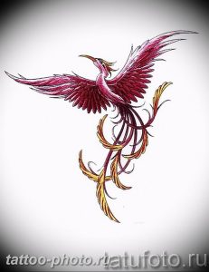 фото идеи тату феникс 18.12.2018 №152 - photo ideas tattoo phoenix - tattoo-photo.ru