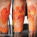 фото идеи тату феникс 18.12.2018 №154 - photo ideas tattoo phoenix - tattoo-photo.ru