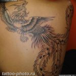 фото идеи тату феникс 18.12.2018 №162 - photo ideas tattoo phoenix - tattoo-photo.ru