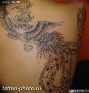 фото идеи тату феникс 18.12.2018 №162 - photo ideas tattoo phoenix - tattoo-photo.ru