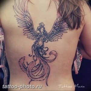 фото идеи тату феникс 18.12.2018 №163 - photo ideas tattoo phoenix - tattoo-photo.ru