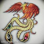 фото идеи тату феникс 18.12.2018 №167 - photo ideas tattoo phoenix - tattoo-photo.ru