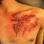 фото идеи тату феникс 18.12.2018 №169 - photo ideas tattoo phoenix - tattoo-photo.ru