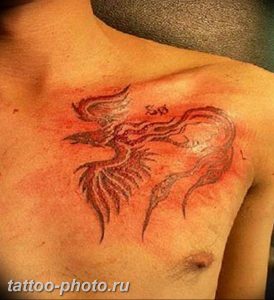 фото идеи тату феникс 18.12.2018 №169 - photo ideas tattoo phoenix - tattoo-photo.ru