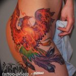 фото идеи тату феникс 18.12.2018 №171 - photo ideas tattoo phoenix - tattoo-photo.ru